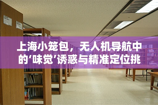 上海小笼包，无人机导航中的‘味觉’诱惑与精准定位挑战