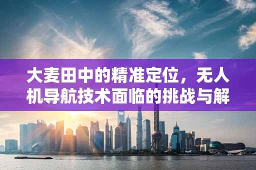 大麦田中的精准定位，无人机导航技术面临的挑战与解决方案