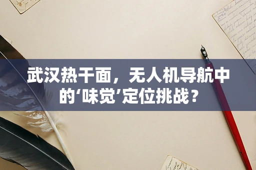 武汉热干面，无人机导航中的‘味觉’定位挑战？