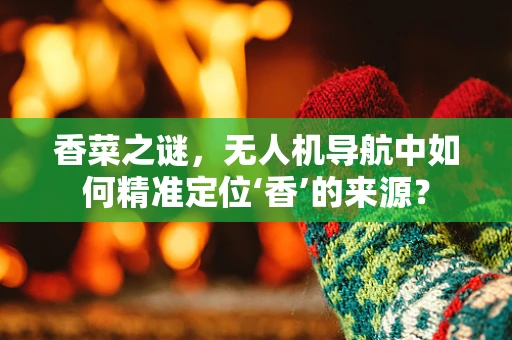 香菜之谜，无人机导航中如何精准定位‘香’的来源？