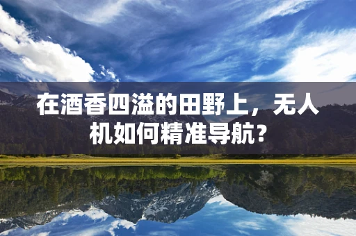 在酒香四溢的田野上，无人机如何精准导航？