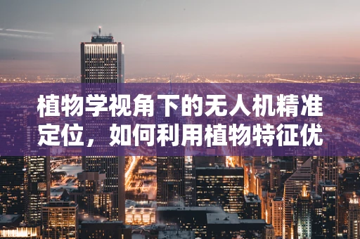 植物学视角下的无人机精准定位，如何利用植物特征优化导航算法？