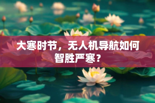 大寒时节，无人机导航如何智胜严寒？