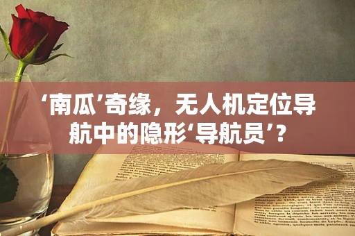 ‘南瓜’奇缘，无人机定位导航中的隐形‘导航员’？