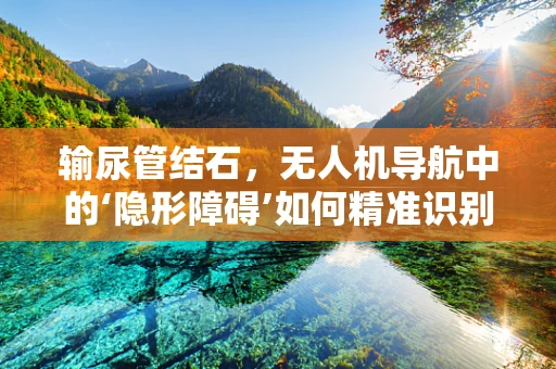 输尿管结石，无人机导航中的‘隐形障碍’如何精准识别与避让？
