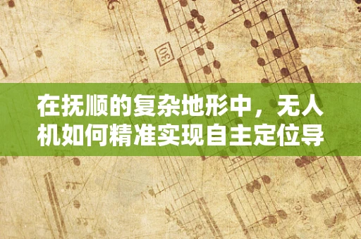 在抚顺的复杂地形中，无人机如何精准实现自主定位导航？