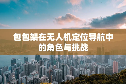 包包架在无人机定位导航中的角色与挑战