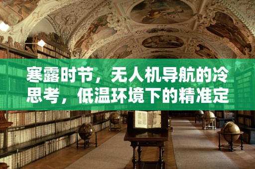 寒露时节，无人机导航的冷思考，低温环境下的精准定位挑战