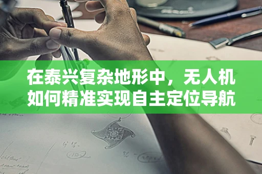 在泰兴复杂地形中，无人机如何精准实现自主定位导航的挑战与解决方案？