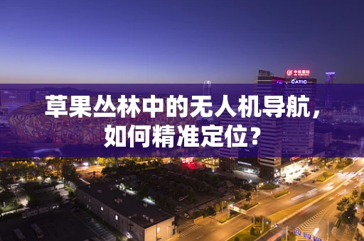 草果丛林中的无人机导航，如何精准定位？