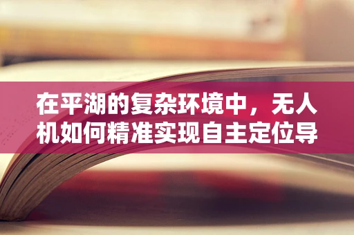 在平湖的复杂环境中，无人机如何精准实现自主定位导航？