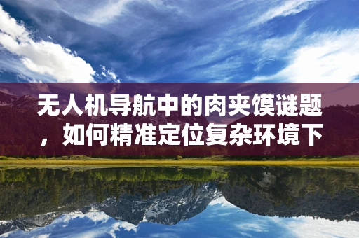 无人机导航中的肉夹馍谜题，如何精准定位复杂环境下的美食？