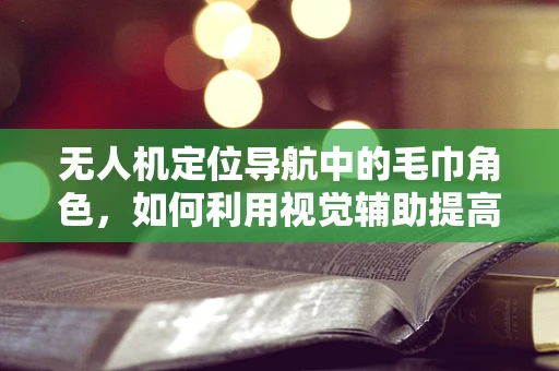 无人机定位导航中的毛巾角色，如何利用视觉辅助提高精度？