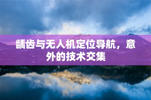 龋齿与无人机定位导航，意外的技术交集