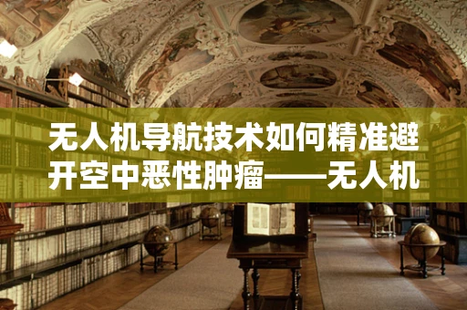 无人机导航技术如何精准避开空中恶性肿瘤——无人机禁飞区？