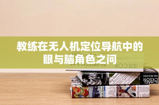教练在无人机定位导航中的眼与脑角色之问