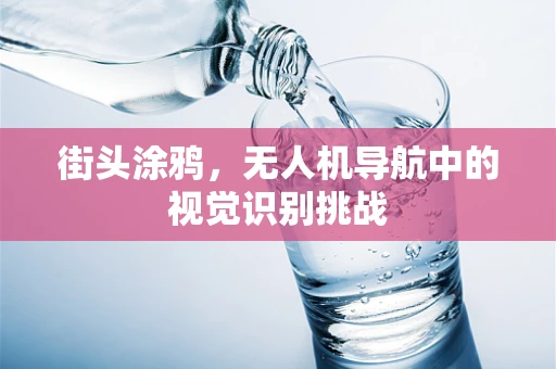 街头涂鸦，无人机导航中的视觉识别挑战