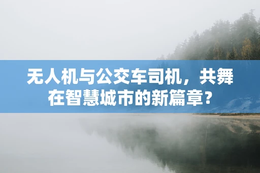 无人机与公交车司机，共舞在智慧城市的新篇章？