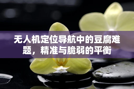 无人机定位导航中的豆腐难题，精准与脆弱的平衡