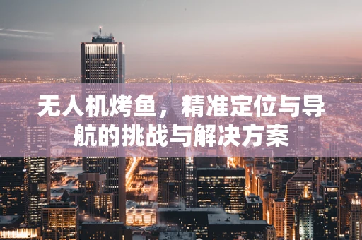 无人机烤鱼，精准定位与导航的挑战与解决方案