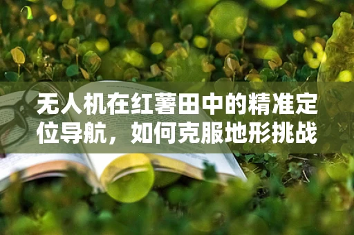 无人机在红薯田中的精准定位导航，如何克服地形挑战？