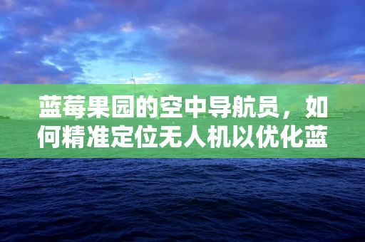 蓝莓果园的空中导航员，如何精准定位无人机以优化蓝莓采摘？