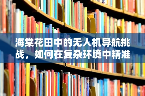 海棠花田中的无人机导航挑战，如何在复杂环境中精准定位？