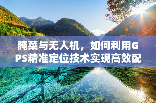 腌菜与无人机，如何利用GPS精准定位技术实现高效配送？