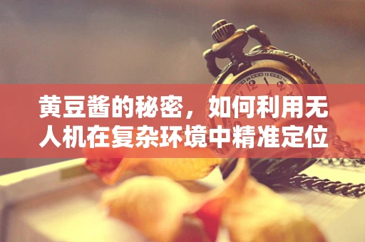 黄豆酱的秘密，如何利用无人机在复杂环境中精准定位？