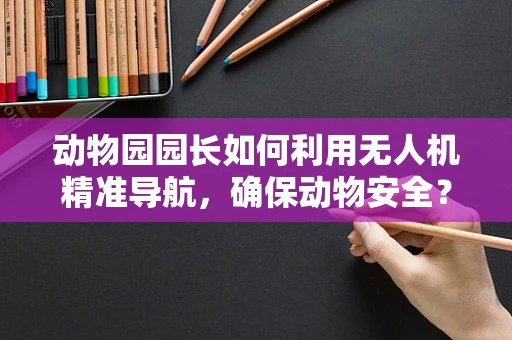 动物园园长如何利用无人机精准导航，确保动物安全？