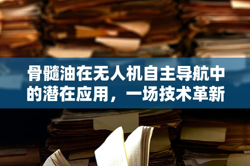 骨髓油在无人机自主导航中的潜在应用，一场技术革新？
