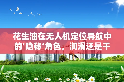 花生油在无人机定位导航中的‘隐秘’角色，润滑还是干扰？