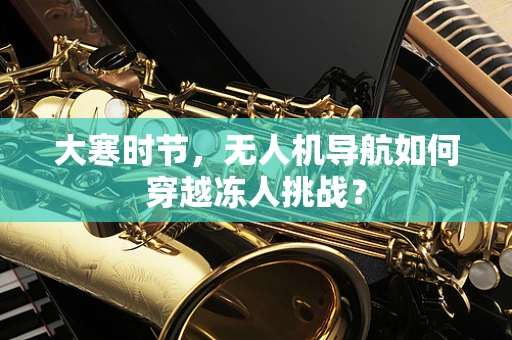 大寒时节，无人机导航如何穿越冻人挑战？