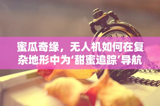 蜜瓜奇缘，无人机如何在复杂地形中为‘甜蜜追踪’导航？