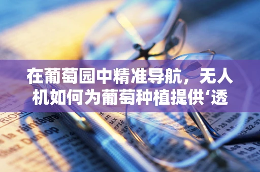 在葡萄园中精准导航，无人机如何为葡萄种植提供‘透视’？
