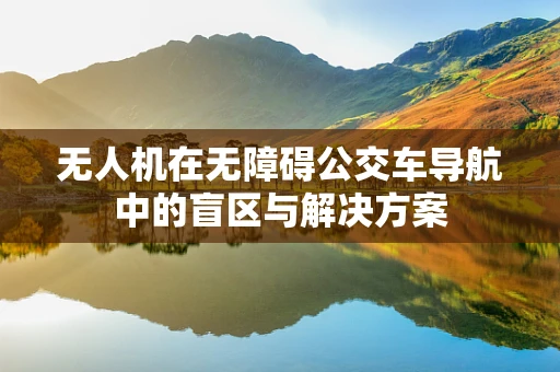 无人机在无障碍公交车导航中的盲区与解决方案