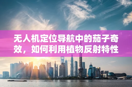 无人机定位导航中的茄子奇效，如何利用植物反射特性增强GPS信号？