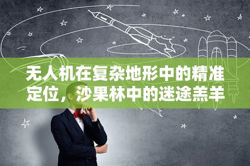 无人机在复杂地形中的精准定位，沙果林中的迷途羔羊如何找到归途？