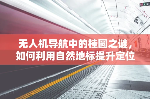 无人机导航中的桂圆之谜，如何利用自然地标提升定位精度？