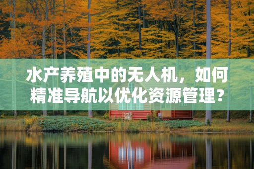 水产养殖中的无人机，如何精准导航以优化资源管理？