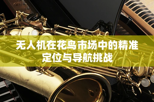 无人机在花鸟市场中的精准定位与导航挑战