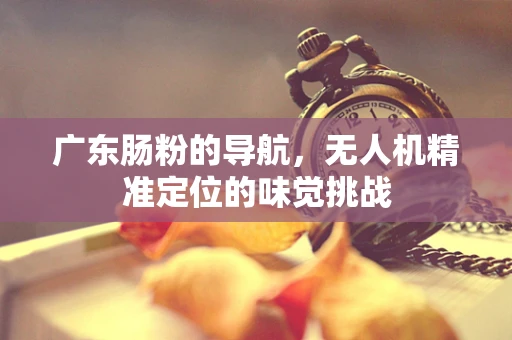 广东肠粉的导航，无人机精准定位的味觉挑战