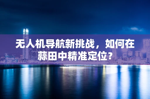 无人机导航新挑战，如何在蒜田中精准定位？