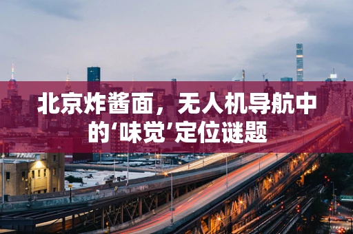 北京炸酱面，无人机导航中的‘味觉’定位谜题