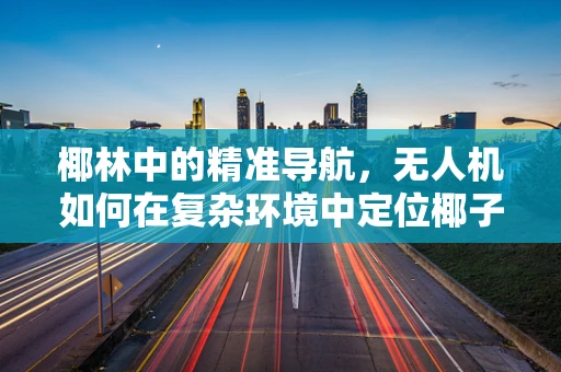 椰林中的精准导航，无人机如何在复杂环境中定位椰子之谜？