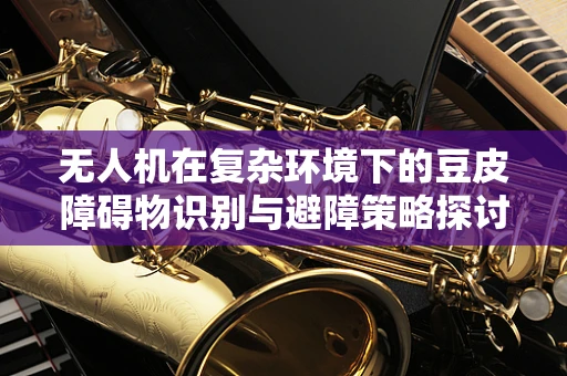 无人机在复杂环境下的豆皮障碍物识别与避障策略探讨
