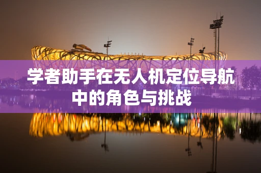 学者助手在无人机定位导航中的角色与挑战