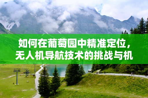 如何在葡萄园中精准定位，无人机导航技术的挑战与机遇？