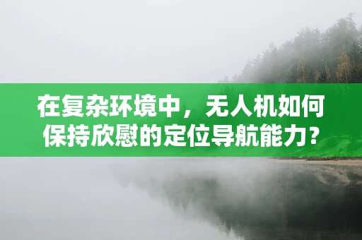 在复杂环境中，无人机如何保持欣慰的定位导航能力？