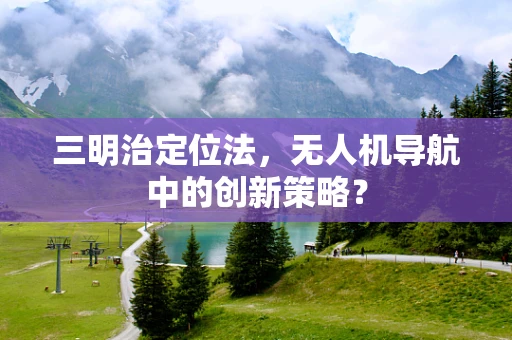 三明治定位法，无人机导航中的创新策略？